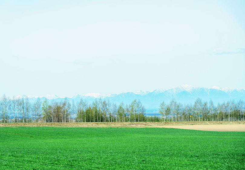 佐々木牛｜SASAKI BEEF